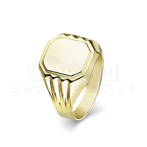 14 karátos arany férfi pecsétgyűrű - PG-013 (AU14117)