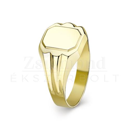 14 karátos arany unisex pecsétgyűrű - PG-019 (AU9729)