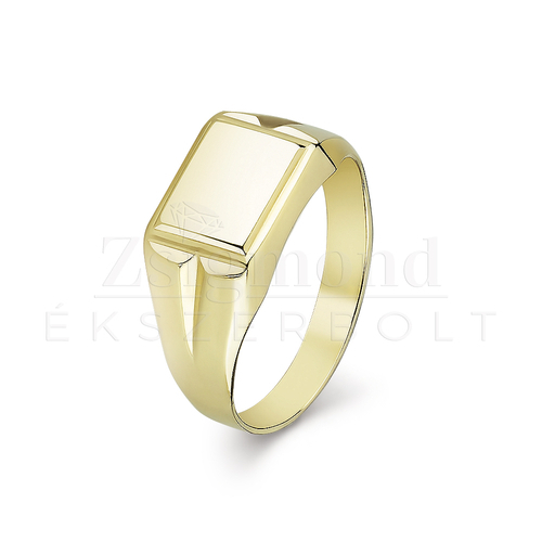 14 karátos arany unisex pecsétgyűrű - PG-002 (AU14524)