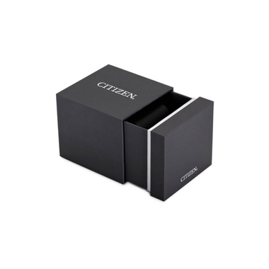 Citizen Elegance Lady FE1240-81L női karóra